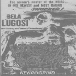 Venereal Disease : Nekrogrind Venereal Disease : Nekrogrind